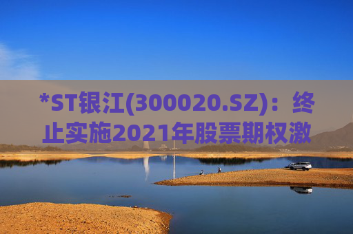 *ST银江(300020.SZ)：终止实施2021年股票期权激励计划及2023年限制性股票激励计划