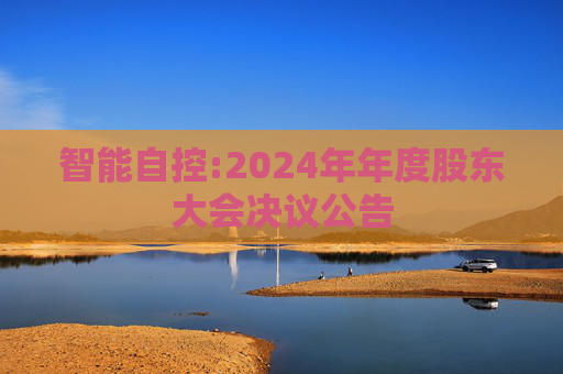 智能自控:2024年年度股东大会决议公告