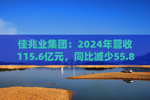 佳兆业集团：2024年营收115.6亿元，同比减少55.8%