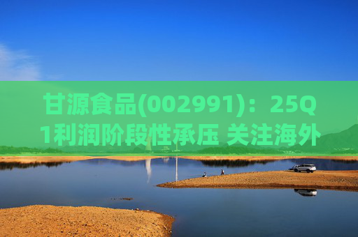 甘源食品(002991):25Q1利润阶段性承压 关注海外市场突破 第1张 甘源食品(002991):25Q1利润阶段性承压 关注海外市场突破 第1张