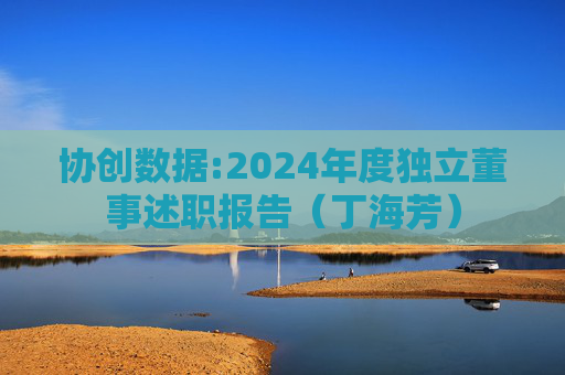 协创数据:2024年度独立董事述职报告（丁海芳）