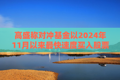 高盛称对冲基金以2024年11月以来最快速度买入股票