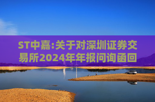 ST中嘉:关于对深圳证券交易所2024年年报问询函回复的公告  第1张
