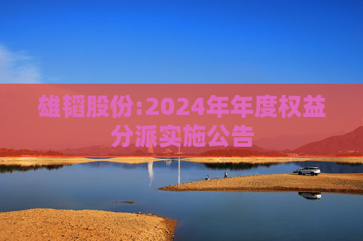 雄韬股份:2024年年度权益分派实施公告