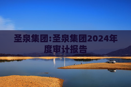 圣泉集团:圣泉集团2024年度审计报告