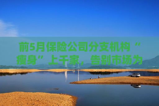 前5月保险公司分支机构“瘦身”上千家，告别市场为哪般