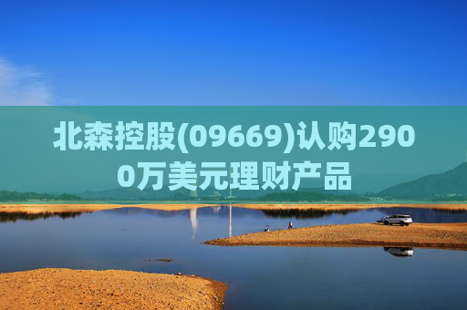 北森控股(09669)认购2900万美元理财产品  第1张