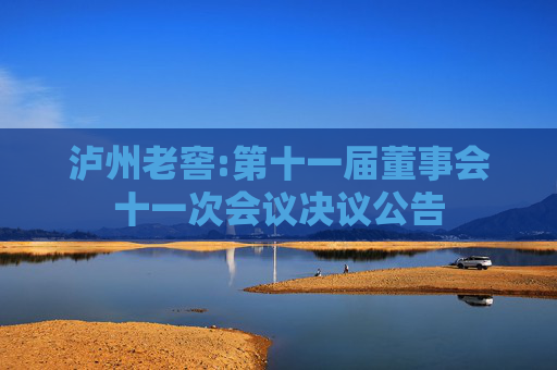 泸州老窖:第十一届董事会十一次会议决议公告