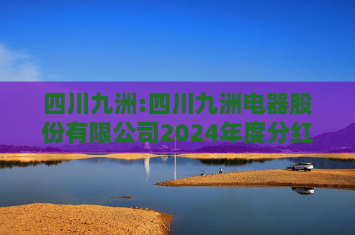 四川九洲:四川九洲电器股份有限公司2024年度分红派息实施公告