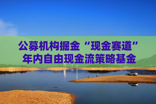 公募机构掘金“现金赛道” 年内自由现金流策略基金募资近150亿元  第1张