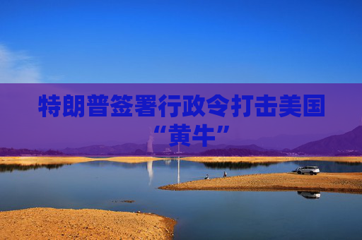 特朗普签署行政令打击美国“黄牛”