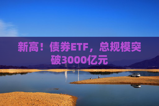 新高！债券ETF，总规模突破3000亿元