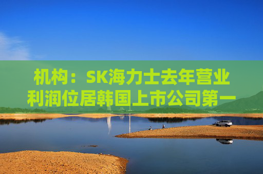 机构：SK海力士去年营业利润位居韩国上市公司第一，首次超过三星电子
