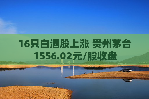 16只白酒股上涨 贵州茅台1556.02元/股收盘