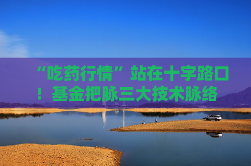 “吃药行情”站在十字路口!基金把脉三大技术脉络 第1张 “吃药行情”站在十字路口!基金把脉三大技术脉络 第1张