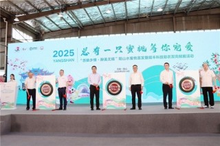 14年深耕！顺丰科技赋能，全链路升级助力阳山水蜜桃“甜蜜出圈”