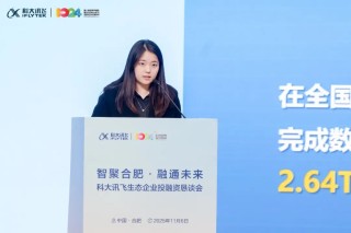智聚合肥·融通未来 | 科大讯飞生态企业投融资恳谈会举办