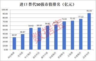 A股进口替代50强出炉，AI芯片、光刻胶、科学仪器……谁空间更大？高成长高科技高胜率