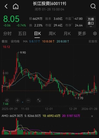 600119，去年业绩预亏！可能被实施退市风险警示