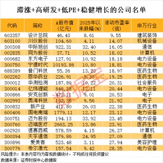 新能源车巨头首次登顶研发支出榜！滞涨+高研发+低PE+业绩稳健增长公司稀缺