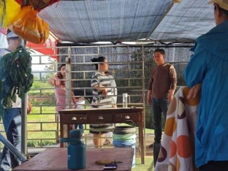 河南五一假期“樱桃经济”遍地开花