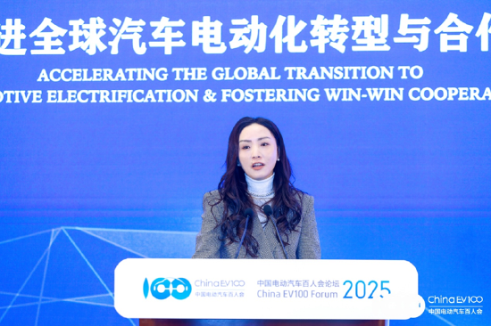 国际论坛顺利召开，共议全球汽车电动化合作、转型之策｜百人会论坛2025  第19张