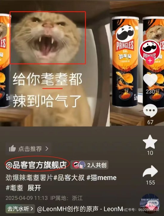 品客薯片视频被指玩虐猫梗,公司回应:不知这个梗,视频已删 第2张 品客薯片视频被指玩虐猫梗,公司回应:不知这个梗,视频已删 第2张
