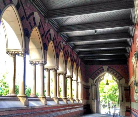 哈佛与白宫对决,美国人如何站队? 第4张 哈佛与白宫对决,美国人如何站队? 第4张