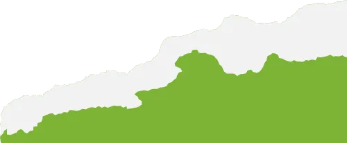 什么是美元指数? 第9张 什么是美元指数? 第9张