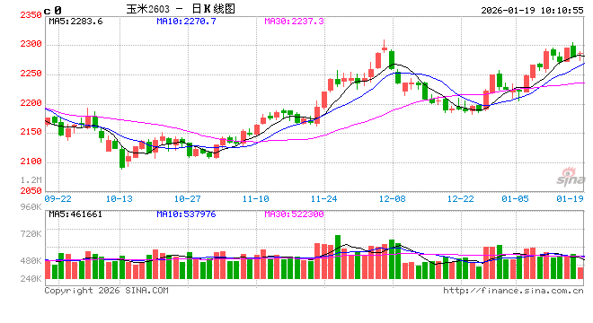 中信建投期货:农产品早报1.19 第2张 中信建投期货:农产品早报1.19 第2张