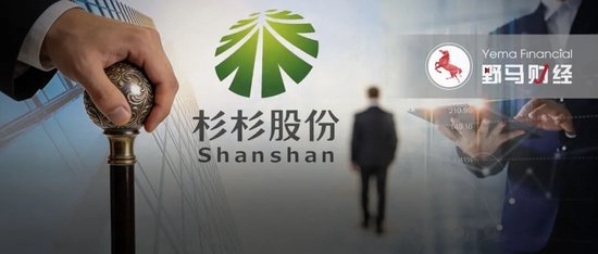 72亿入局！安徽国资成杉杉重整最后赢家？  第1张