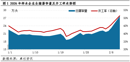 高瞻远“猪”：历年春节生猪屠宰量盘点 一季度后期行情如何波动  第4张
