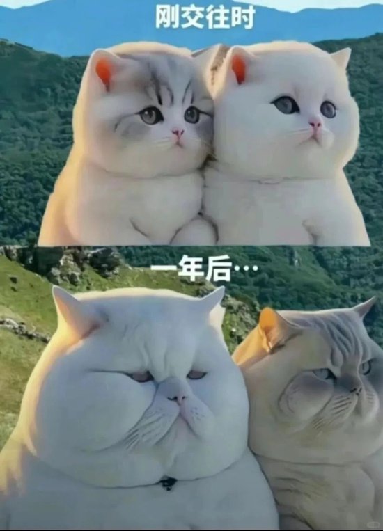 没有伴侣，健康会更差吗？来自50万中国人的长期追踪证据  第3张