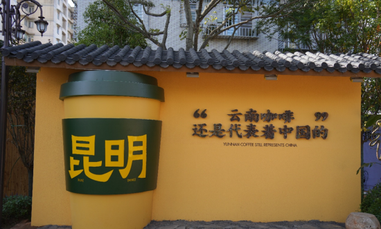 【申万宏源研究春节见闻】昆明:春城烟火漫江畔,茶咖飘香引客来 第3张 【申万宏源研究春节见闻】昆明:春城烟火漫江畔,茶咖飘香引客来 第3张