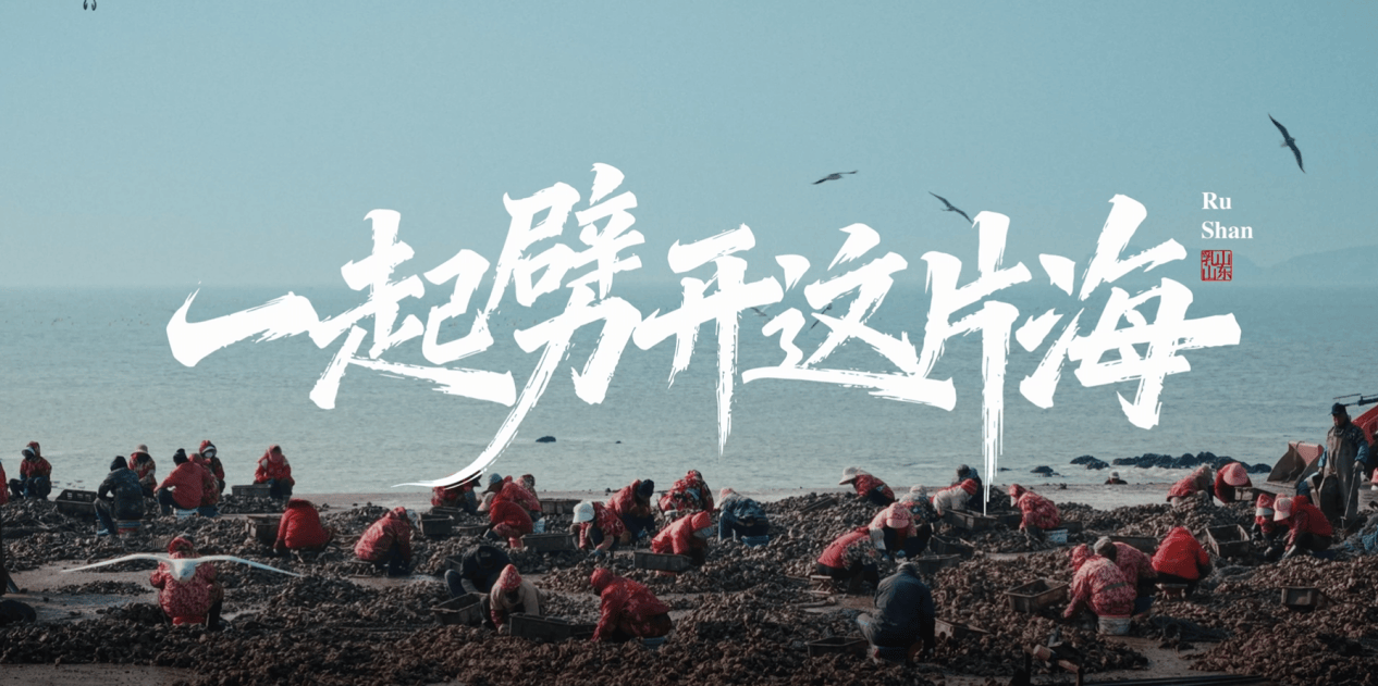 一起劈开这片海:度小满见证乳山百亿牡蛎产业的女性微光 第1张 一起劈开这片海:度小满见证乳山百亿牡蛎产业的女性微光 第1张